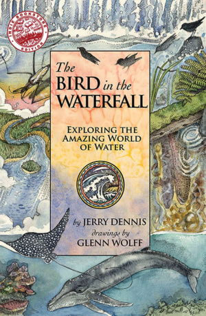 The Bird in the Waterfall Cover