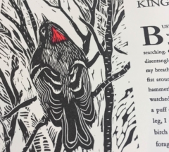ruby-crowned-kinglet-finished